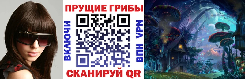 даркнет сайт Строитель MEGA как войти Галлюциногенные грибы GOLDEN TEACHER